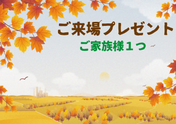 週末イベント